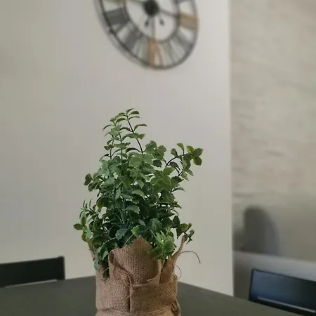 Apartamento A Due Passi Da Trastevere